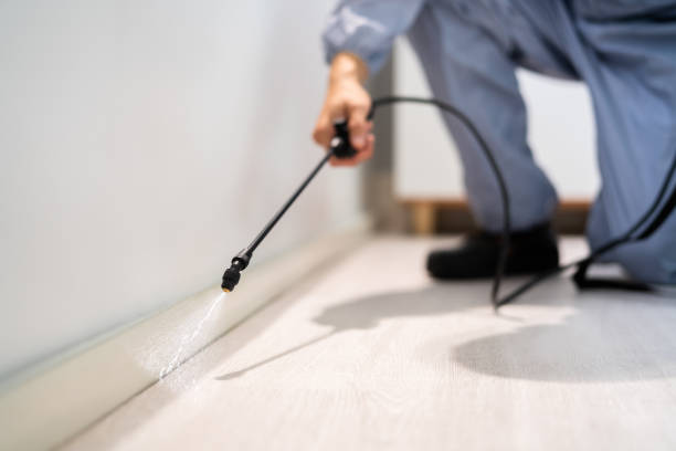 Licensed Mosquito Control service in Nashville, GA - Show Me Pest Control