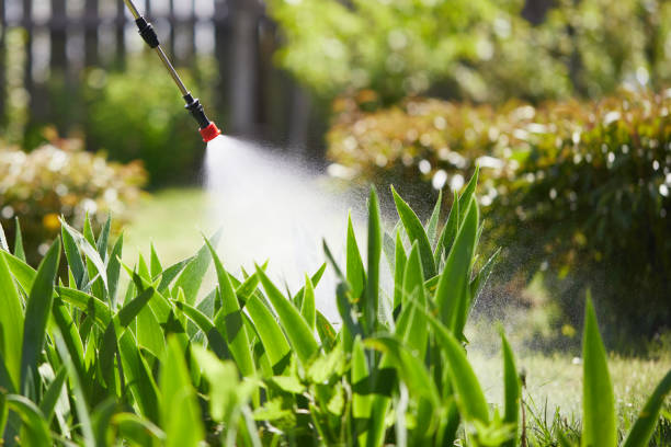 24/7 Emergency Mosquito Control experts in Nashville, GA
