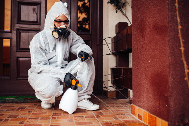 Reliable Mosquito Control contractor in Nashville, GA by Show Me Pest Control